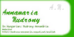 annamaria mudrony business card